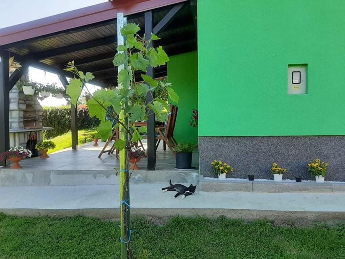 Ruralna Kuca Za Odmor Viktorija Villa Caglin Luaran gambar