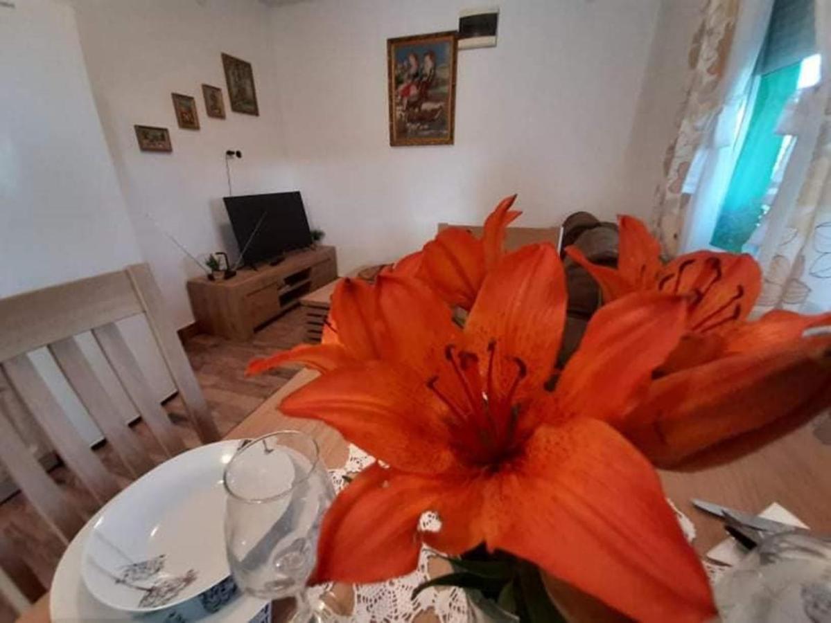 Ruralna Kuca Za Odmor Viktorija Villa Caglin Luaran gambar